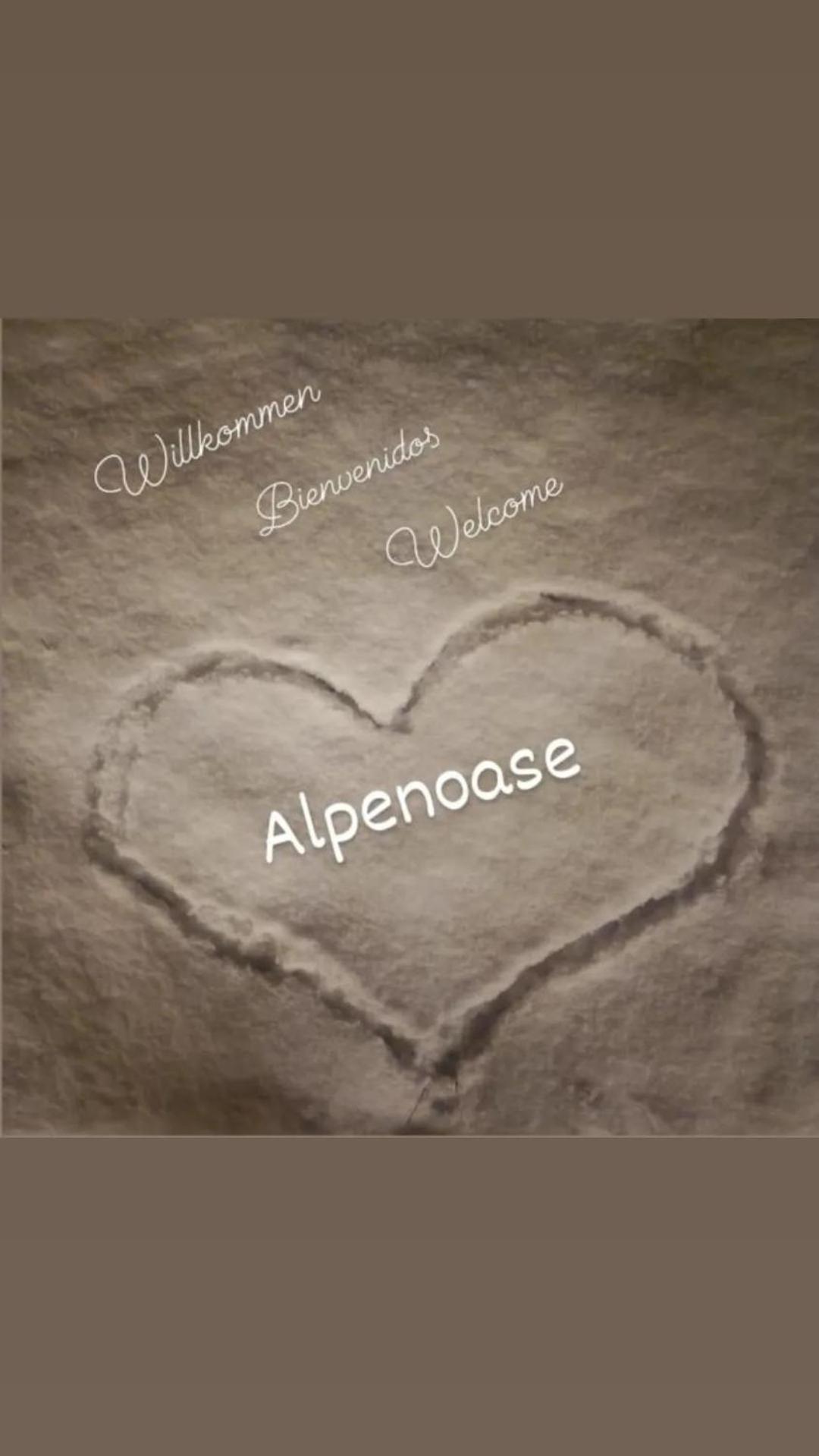 Апартаменты Alpenoase Швендау Экстерьер фото